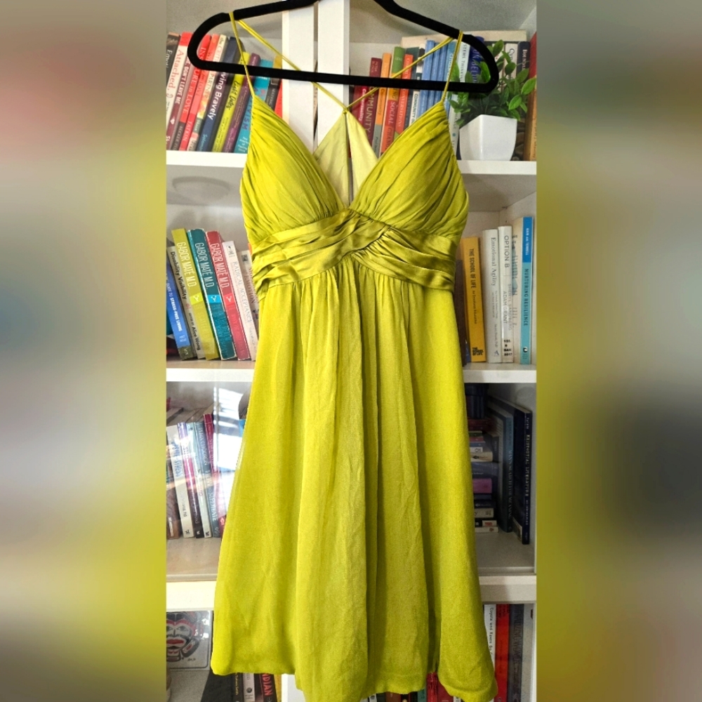 100% Silk Knee Length Cocktail Dress with Fitted Bodice - Picture 2 of 14